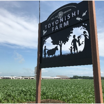 豊西牛ビーフシチュー220g×3袋