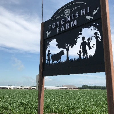 帯広牛 切り落とし スライス 900g (300g×3袋)【配送不可地域：離島】