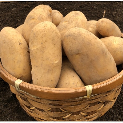 【期間限定】大正メークイン満喫セット　大正メークイン約10kg+大正メークインじゃがバター5個入