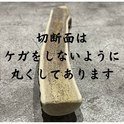鹿の角 半割り 10cm 10本 犬のおもちゃ デンタルケア 小型犬用