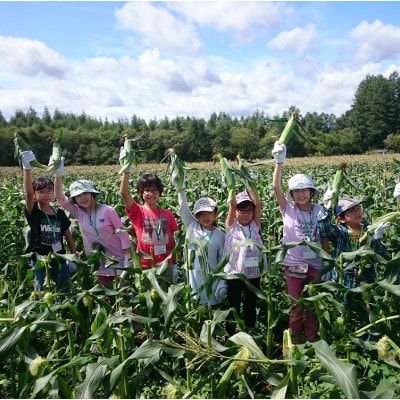 先行受付【十勝ガールズ農場】訳あり 直送 朝もぎつぶつぶ「あま～いゴールドとうもろこし」25本【配送不可地域：離島】