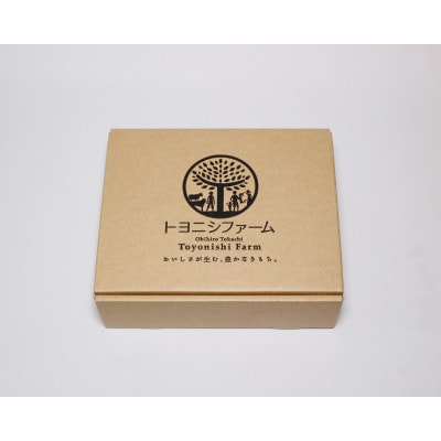 豊西牛 ヒレ ステーキ セット 計520g(130g×4パック) トヨニシソース付【配送不可地域：離島】