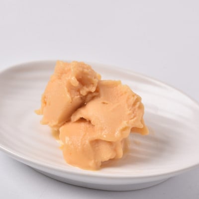 北海道産ヴィーガンジェラート　夕張メロン　2L　ディッシャー付き【配送不可地域：離島】