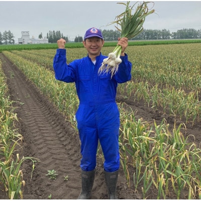 十勝野にんにく　L玉以上【1kg】