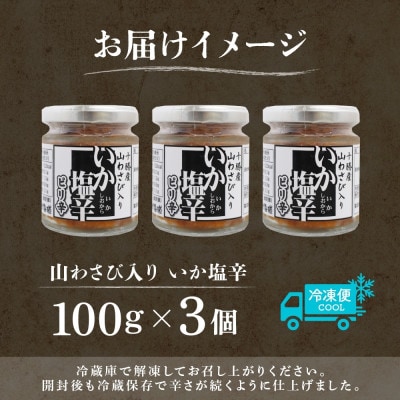十勝 山わさび入り イカの塩辛 100g 3個 ご飯のおとも 北海道 帯広市【配送不可地域：離島】