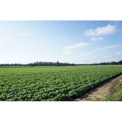 とかちSOYフレーク　6個セット