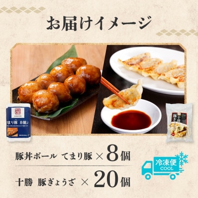 十勝 豚丼ボール＆ぎょうざセット(各1パック)秘伝のタレ付き 北海道産豚肉使用 北海道 帯広市【配送不可地域：離島】