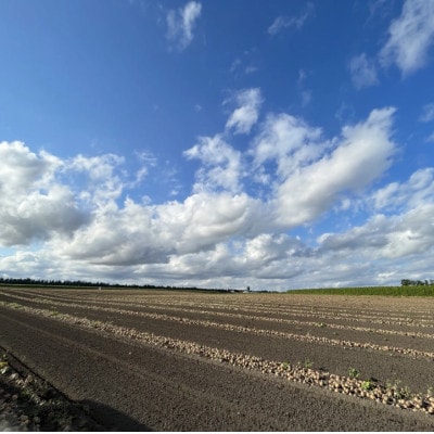 【越冬熟成3点セット】長芋・じゃがいも(とうや)・春堀ゴボウ　計約9.4kg 北海道十勝帯広産【配送不可地域：離島】