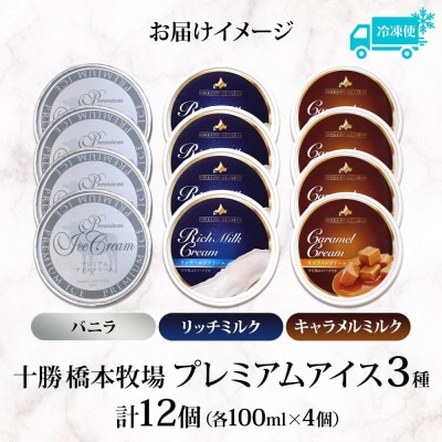 十勝橋本牧場 プレミアムアイス 全味食べ比べセット(3種×各4個)【配送不可地域：離島・沖縄県】