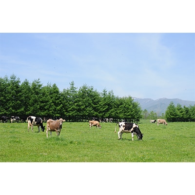 【毎月定期便】北海道 十勝 スイーツ 定期便(アイス・プリン・ソフトクリーム)全3回【配送不可地域：離島】