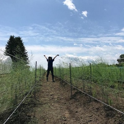 【発送月固定定期便】直送!【北海道の定番便】十勝ガールズ農場の野菜セレクション全3回【配送不可地域：離島】