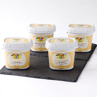 【毎月定期便】ゴールデンジャージーヨーグルト 450g×4個 北海道 十勝 加藤牧場全6回【配送不可地域：離島】