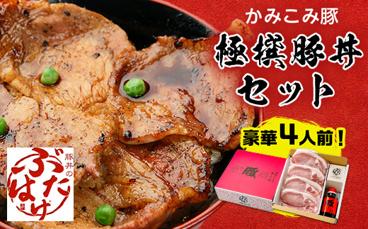 豚丼のぶたはげ「極撰豚丼セット4人前」【配送不可地域：離島】