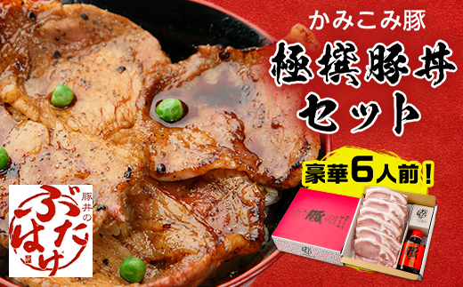 豚丼のぶたはげ「極撰豚丼セット6人前」【配送不可地域：離島】