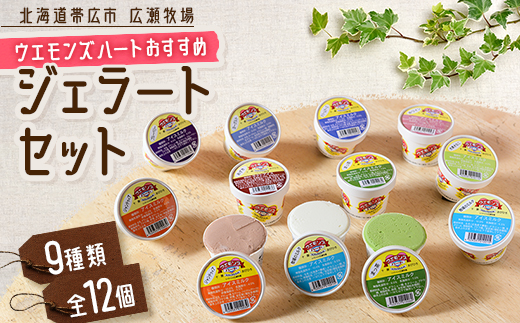 ウエモンズハートおすすめ　ジェラートセット(9種類 全12個)【配送不可地域：離島】
