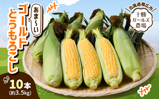 先行受付【十勝ガールズ農場】直送 朝もぎつぶつぶ「あま～いゴールドとうもろこし」10本【配送不可地域：離島】