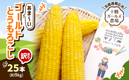 先行受付【十勝ガールズ農場】訳あり 直送 朝もぎつぶつぶ「あま～いゴールドとうもろこし」25本【配送不可地域：離島】