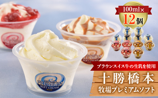 十勝橋本牧場プレミアムソフト12個【配送不可地域：離島】