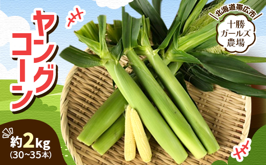 先行受付【十勝ガールズ農場】直送 ヤングコーン箱詰め 約2kg(30～35本)【配送不可地域：離島】