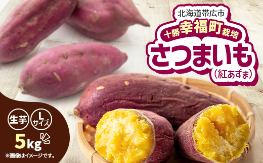 【先行受付】直送!十勝「幸福」さつまいも(紅あずま)Lサイズ5kg