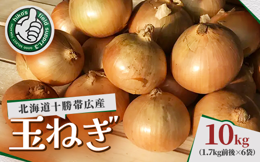 北海道十勝帯広産 玉ねぎ 10kg【配送不可地域：離島】