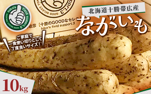 北海道十勝帯広産 ながいも 10kg【配送不可地域：離島】