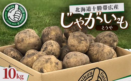 じゃがいも (とうや)10kg 北海道十勝帯広産【配送不可地域：離島】