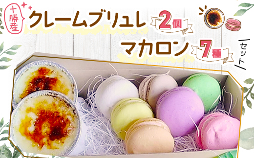 十勝産クレームブリュレ2個とマカロン7種セット【配送不可地域：離島】