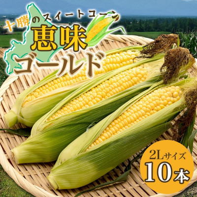 【2025年 先行受付】十勝 恵味ゴールド 10本 2Lサイズ 甘いスイートコーン 北海道 帯広市【配送不可地域：離島】