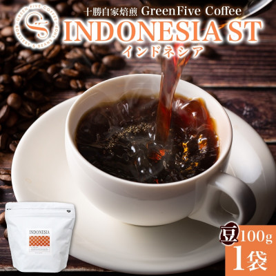 コーヒー豆 インドネシア 100g 1袋 鮮度を高めたスペシャリティコーヒー 北海道 帯広市