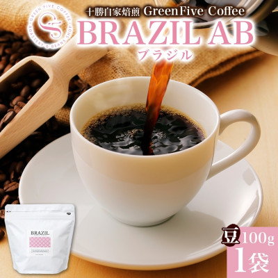 コーヒー豆 ブラジル 100g 1袋 鮮度を高めたスペシャリティコーヒー 北海道 帯広市