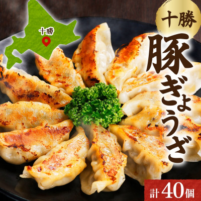 十勝 豚ぎょうざ 20個入り×2パック 十勝豚使用 焼くだけ 北海道 帯広市【配送不可地域：離島】