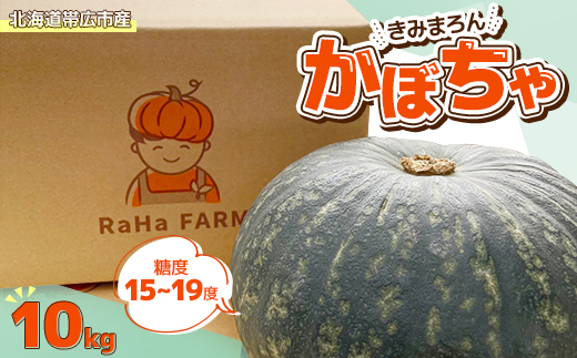 北海道帯広市産　かぼちゃ「きみまろん」10kg　糖度15～19