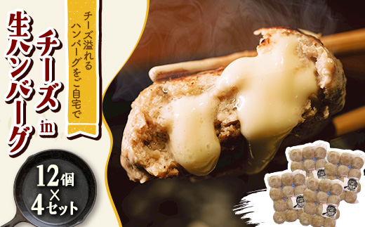 チーズ in 生ハンバーグ 12個×4セット グルテンフリー【配送不可地域：離島】