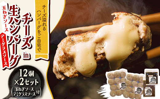 チーズ in 生ハンバーグ 12個×2(玉ねぎソース150g、デミグラスソース250g 各1個)【配送不可地域：離島】