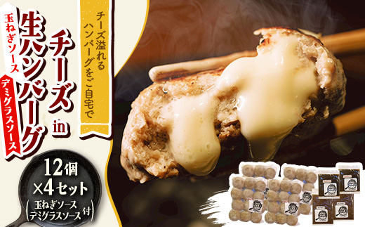チーズ in 生ハンバーグ 12個×4(玉ねぎソース150g、デミグラスソース250g 各2個)【配送不可地域：離島】