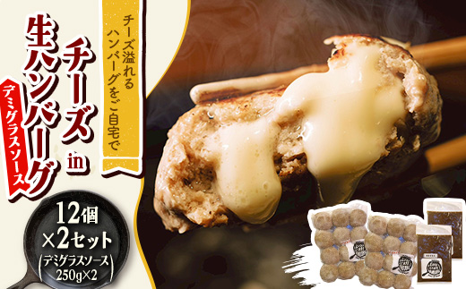 チーズ in 生ハンバーグ 12個×2セット+デミグラスソース250g×2【配送不可地域：離島】