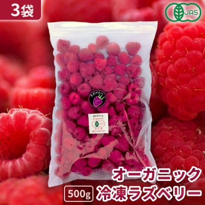有機JAS認証 冷凍ラズベリー2種食べ比べセット 1.5kg (500g×3袋)【十勝産 希少品種】【配送不可地域：離島】