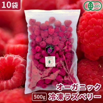  冷凍ラズベリー2種食べ比べセット 5kg (500g×10袋)【十勝産 希少品種】【配送不可地域：離島】