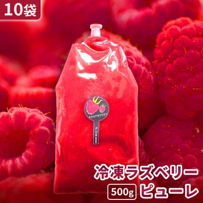 【北海道十勝産 贅沢ピューレ】冷凍ラズベリーピューレ 5kg(500g×10袋)【配送不可地域：離島】