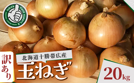 【訳あり】北海道 十勝 帯広産 玉ねぎ 20kg【配送不可地域：離島】