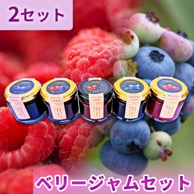 ベリージャムセット全5種 各70g×2セット