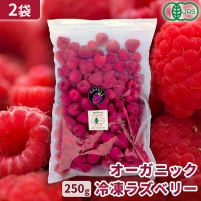 有機JAS認証 冷凍ラズベリー2種食べ比べセット 500g (250g×2袋)【十勝産 希少品種】【配送不可地域：離島】