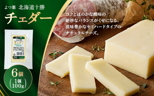 よつ葉 北海道十勝 チェダー 100g×6個【配送不可地域：離島】