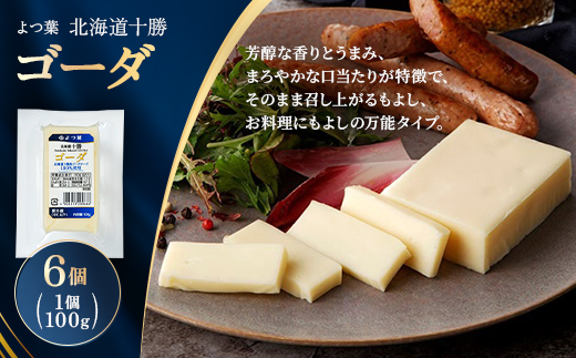 よつ葉 北海道十勝 ゴーダ 100g×6個【配送不可地域：離島】