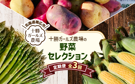 【発送月固定定期便】直送!【北海道の定番便】十勝ガールズ農場の野菜セレクション全3回【配送不可地域：離島】