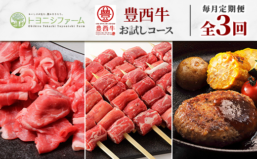 【毎月定期便】豊西牛お試しコース全3回【配送不可地域：離島】