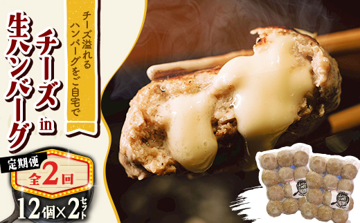 【毎月定期便】チーズ in ハンバーグ　生(12個入) 2セット全2回【配送不可地域：離島】