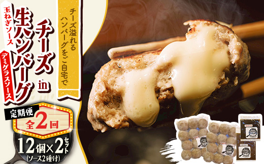 【毎月定期便】チーズハンバーグ(生)12個×2　玉ねぎソース150g、デミグラスソース250g全2回【配送不可地域：離島】