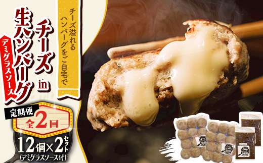 【毎月定期便】チーズ in ハンバーグ(生)12個入(デミグラスソース250g) 2セット全2回【配送不可地域：離島】